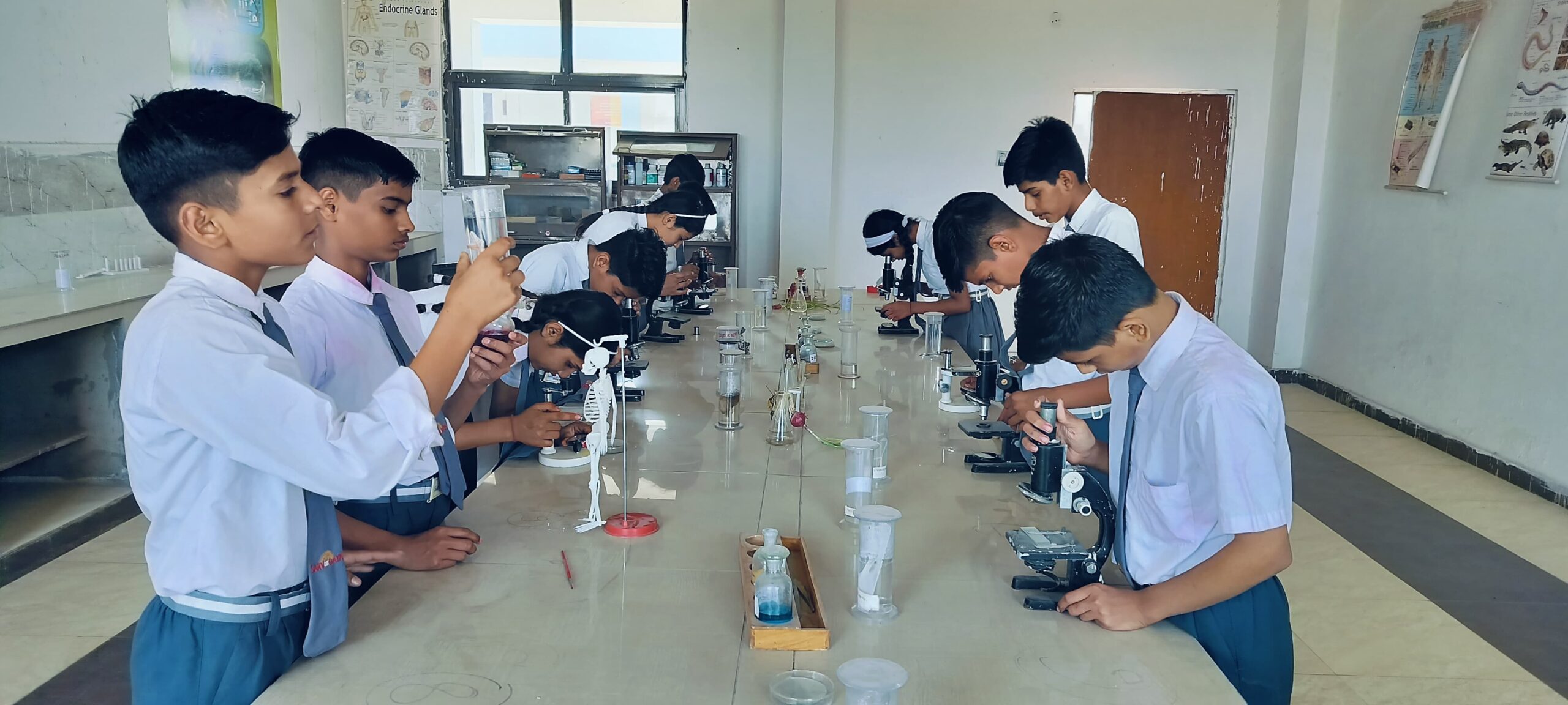 science lab 2